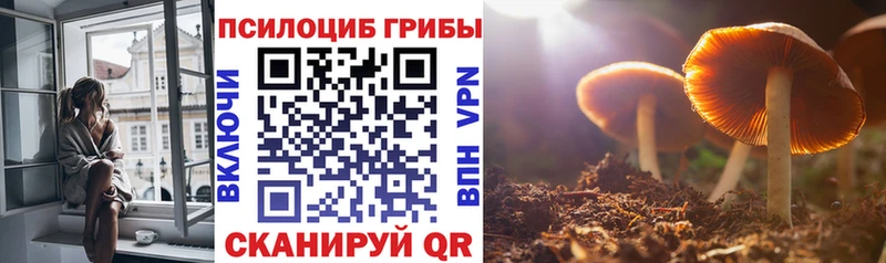 Галлюциногенные грибы мицелий  hydra зеркало  Петушки 